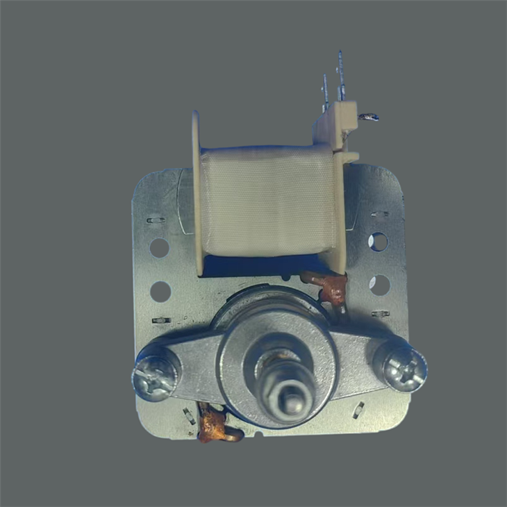 Motore forno inverter