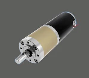 GMP56RP55ZY 12 V 24 V 56 Mm motoriduttore per cancello del Garage o Micro attrezzature CNC