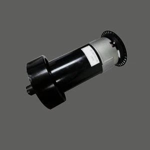T59 220 V Dc Motor Per Sports Machine