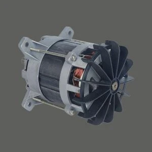 Motore elettrico del timone