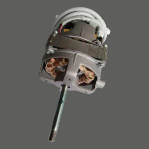 Motore elettrico di induzione del ventilatore elettrico