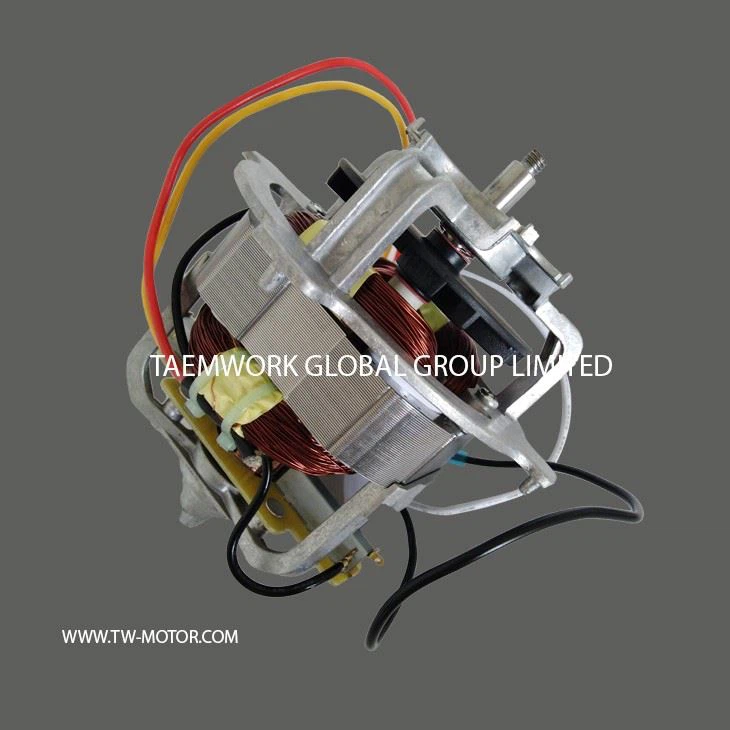 Power Food Processing Motor