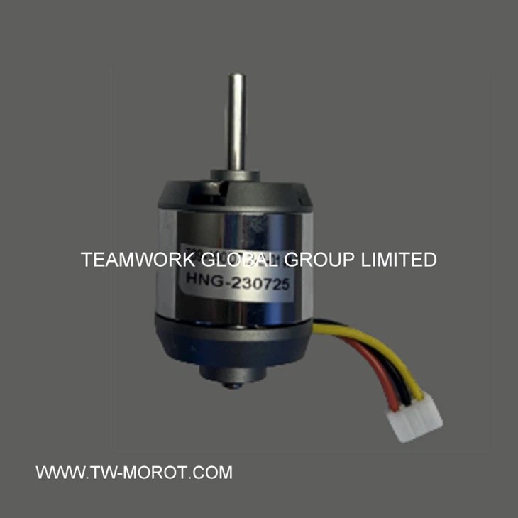 Curling Iron Motor