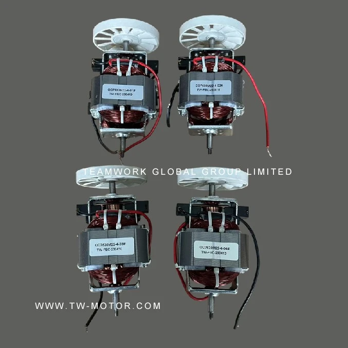 Multifunctional Juicer Motor